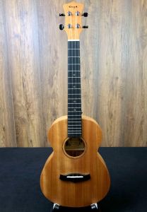 Enya EUT-25D Solid Mahogany Top Tenor Ukulele with gigbag