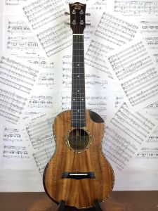 Snail SR-04TEQ Solid Acacia Electro Acoustic Tenor Ukulele with gigbag