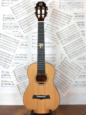 Snail BHC-6T Solid Cedar Top/Ebony Tenor Ukulele with Slotted Headstock