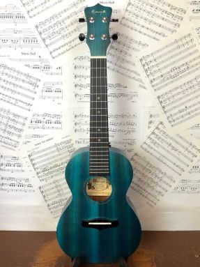 Blue Enya EUC 25D concert ukulele