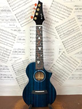 blue Enya EUC concert ukulele
