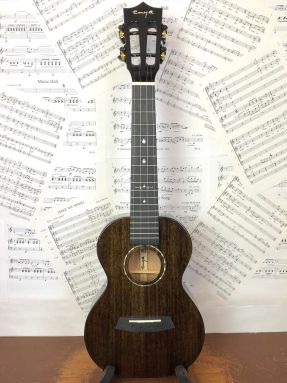 EUC-MAD concert Enya ukulele