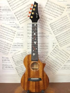 Enya EUC concert ukulele