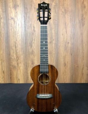 Enya EUC-MAD BK Solid Mahogany Concert Ukulele Black stain w/Gigbag (radius fingerboard)