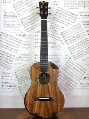 Snail SR-04TEQ Solid Acacia Electro Acoustic Tenor Ukulele with gigbag