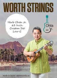 Worth COJ-2 Herb Ohta Jr. Signature Tenor Ukulele String Set