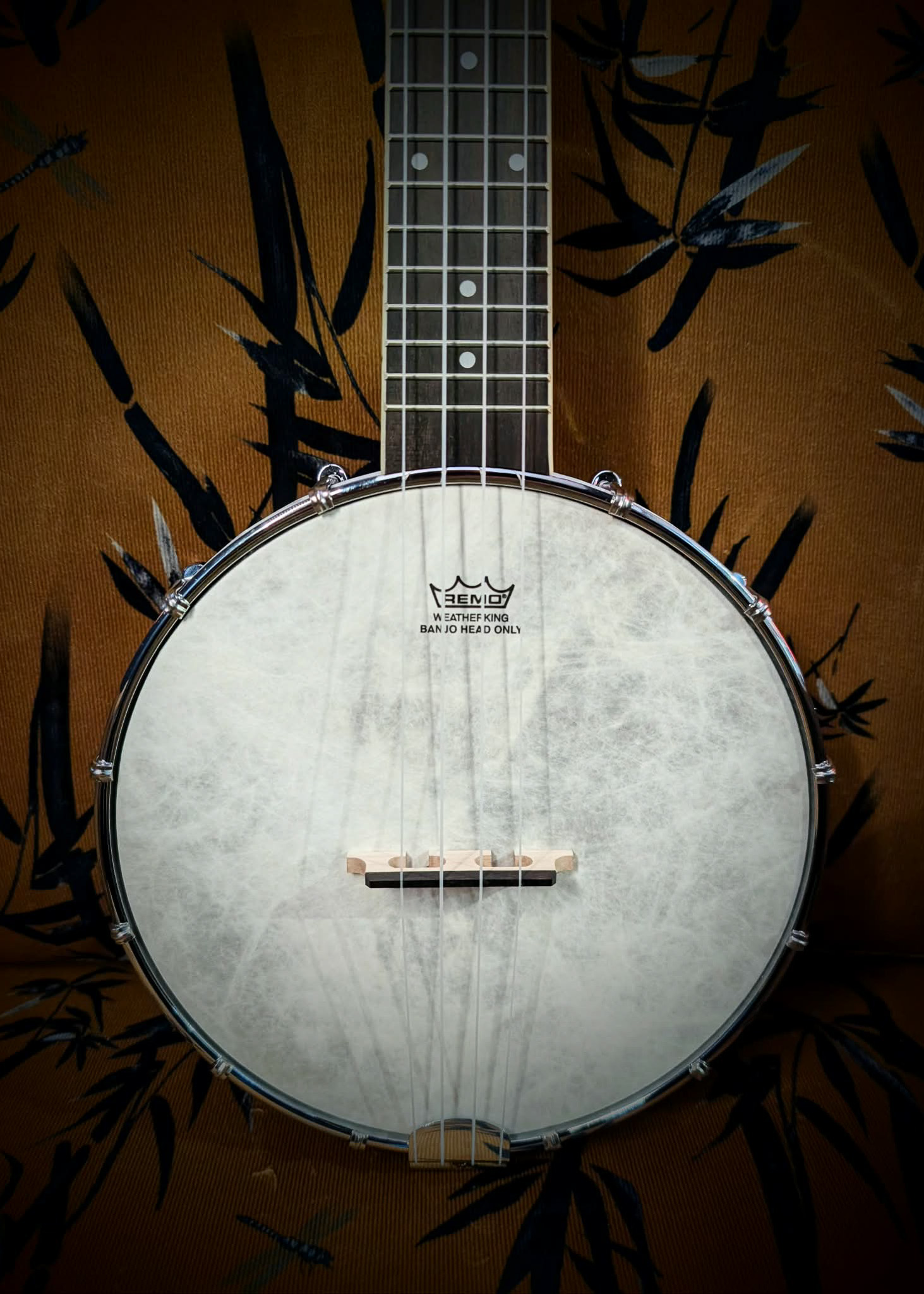 Banjo Ukes