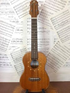Tim Williams Solid Mahogany Concert ukulele in gigbag
