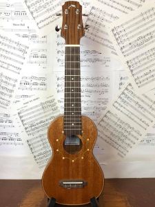 Tim Williams Solid Mahogany Soprano ukulele in gigbag